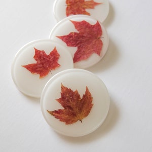 Set of 4 Dried Red Maple Leaf and Resin Coasters on White