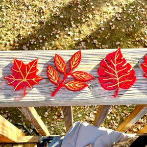 Fall leaf coasters - set of 5