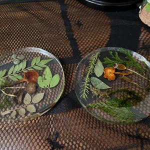 Handmade Resin Mushroom Coaster: Real Greenery Botanical Decor
