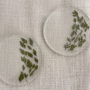 Fern Resin Coaster: Handmade Floral Leaves Drink Coaster